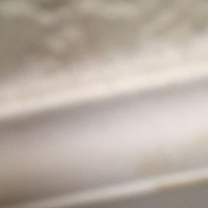 Meet your Posher, Luis